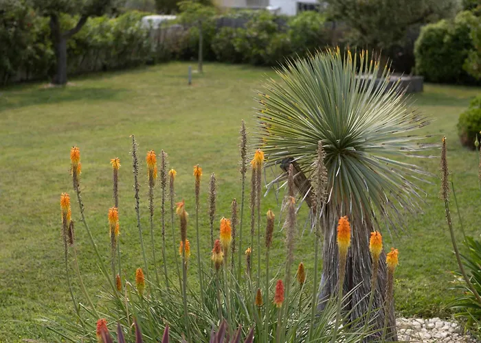 Villa Au Calme, Proche De La Les Sables-dʼOlonne