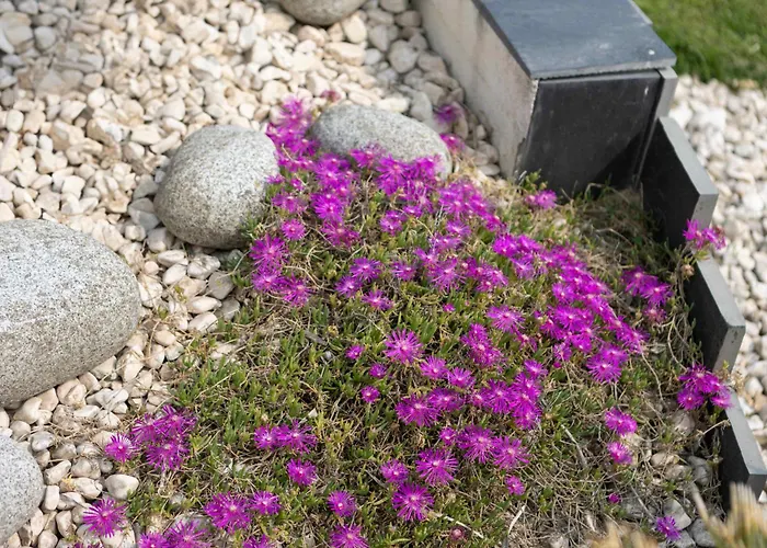 Au Calme, Proche De La Les Sables-dʼOlonne